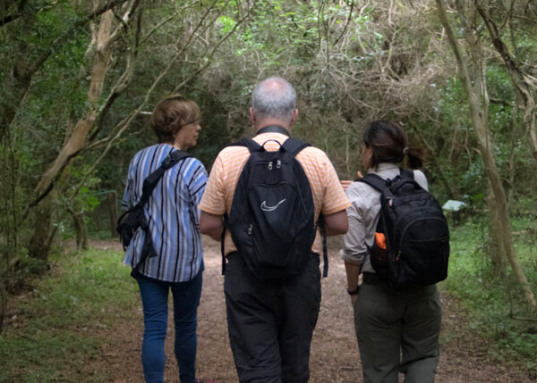 Caminatas diurnas