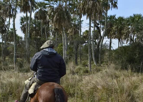 Cabalgatas